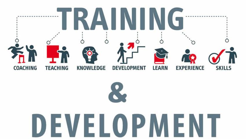 Training and Development: